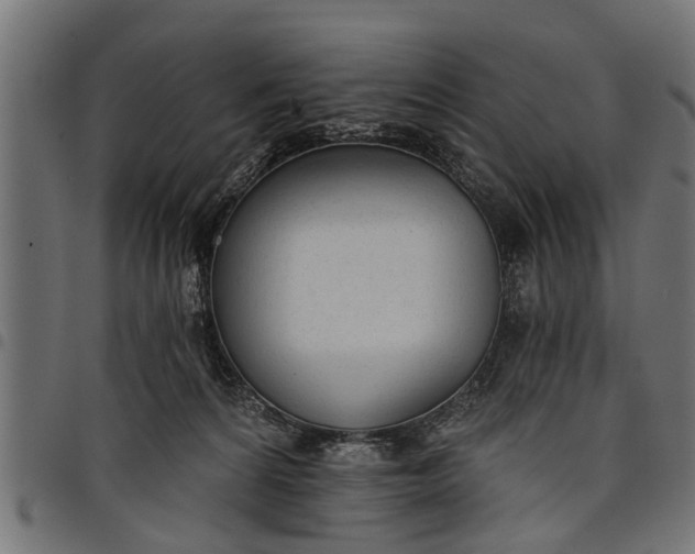 X0000097810224200803281106