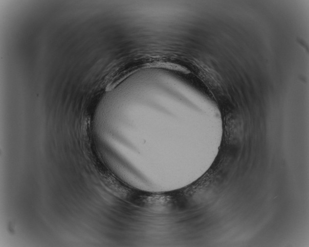 X0000097810225200803281106