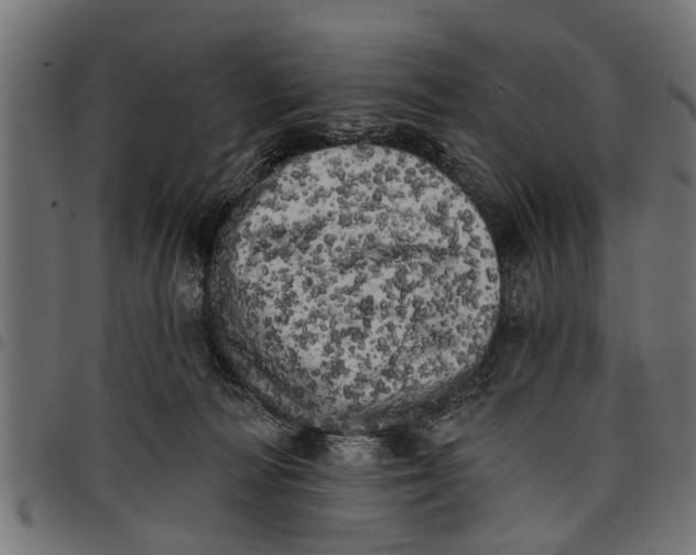 X0000097810226200803281106