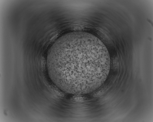 X0000097810228200803281106