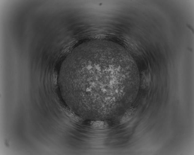 X0000097810230200803281106