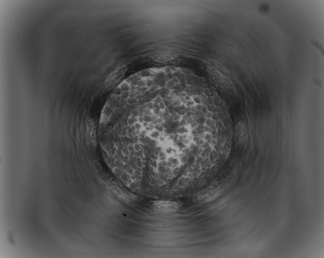 X0000097810234200803281106