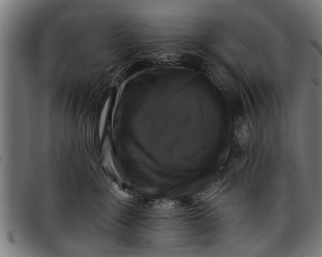 X0000097810235200803281106