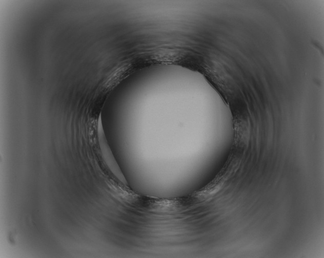 X0000097810237200803281105