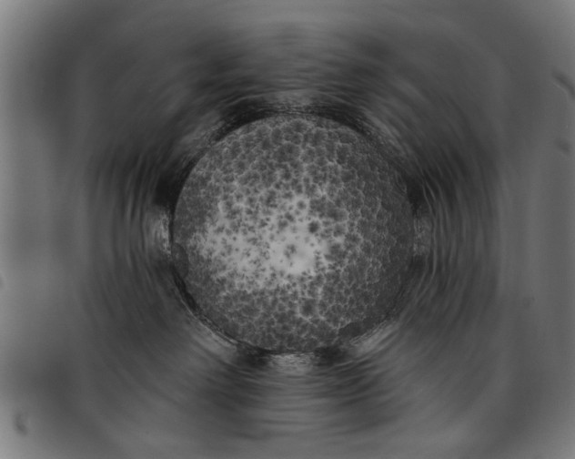 X0000097810238200803281105