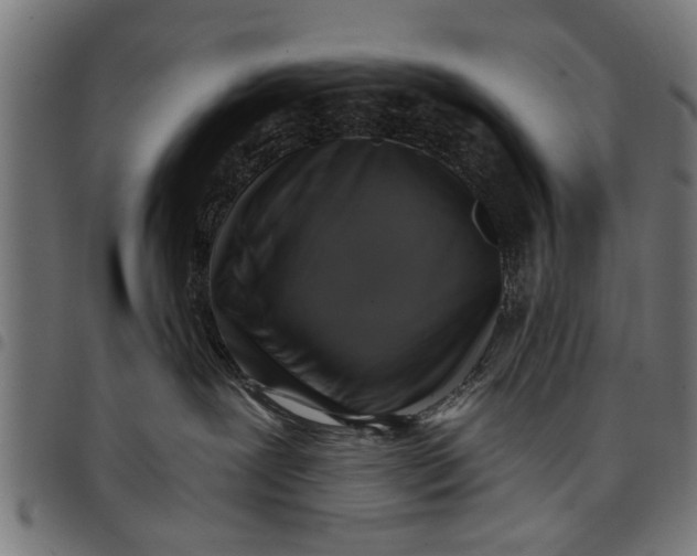 X0000097810239200803281105