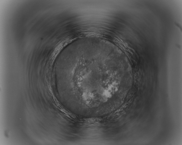 X0000097810241200803281105