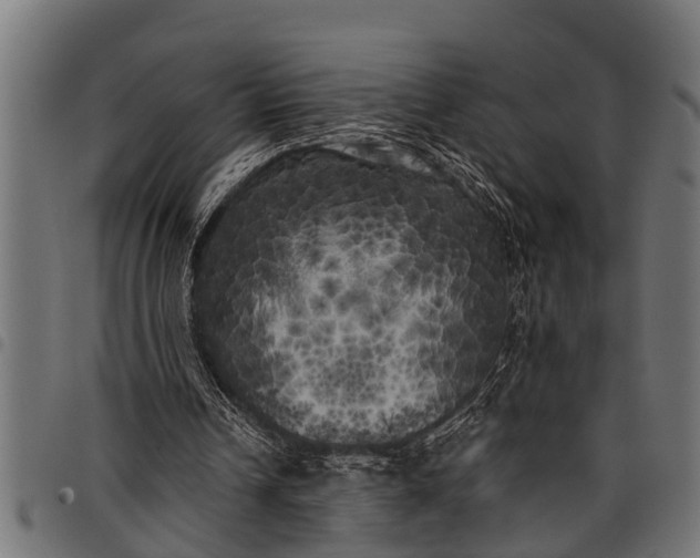 X0000097810242200803281105