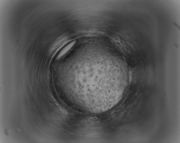 X0000097810243200803281105