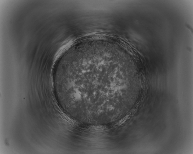 X0000097810245200803281105