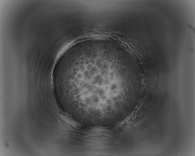 X0000097810246200803281105