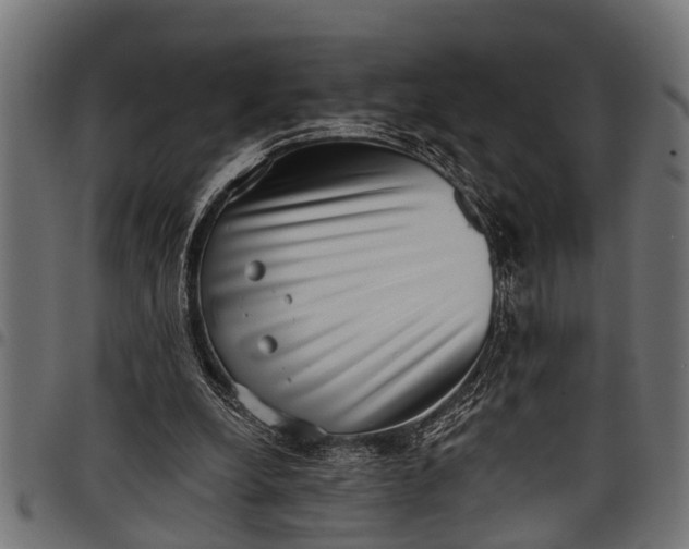 X0000097810248200803281105