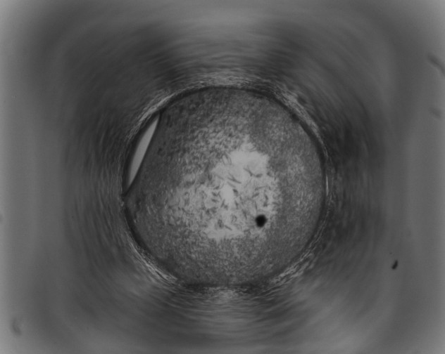 X0000097810249200803281105