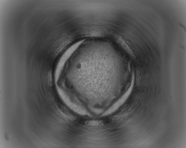 X0000097810251200803281105