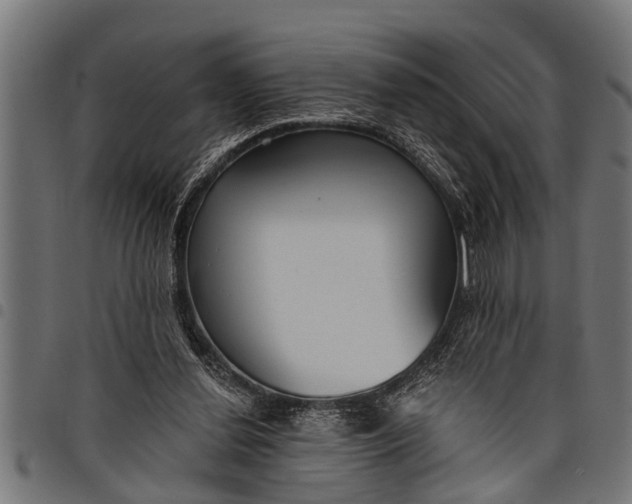 X0000097810252200803281105