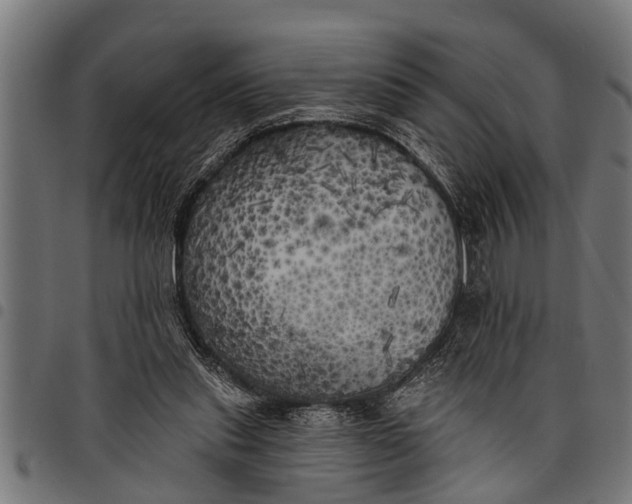 X0000097810253200803281105