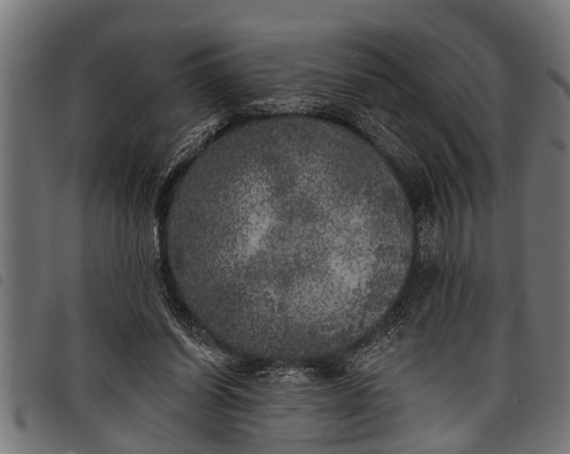 X0000097810254200803281105