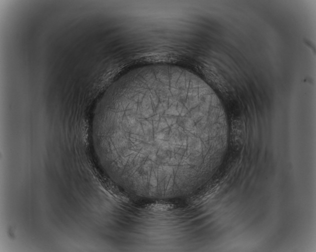 X0000097810255200803281105