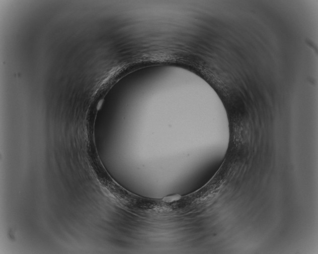 X0000097810256200803281105