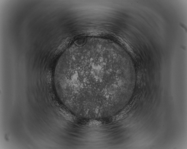 X0000097810257200803281105