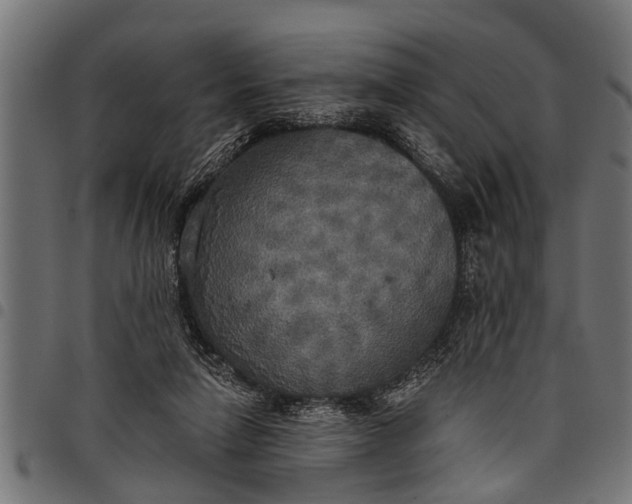 X0000097810258200803281105