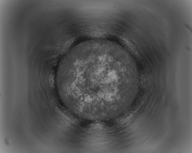 X0000097810259200803281105