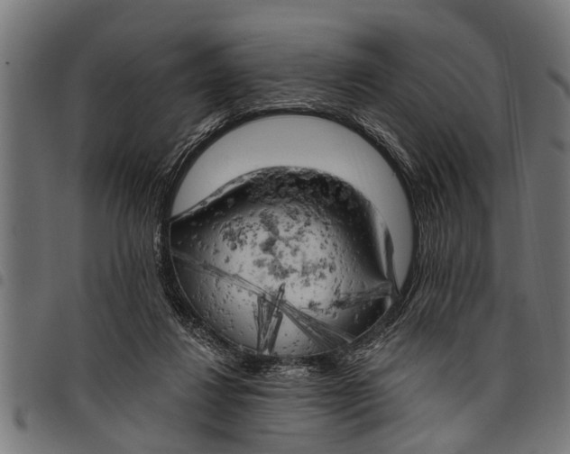 X0000097810260200803281105