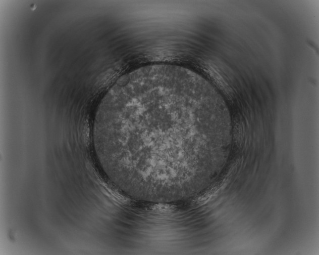 X0000097810261200803281105