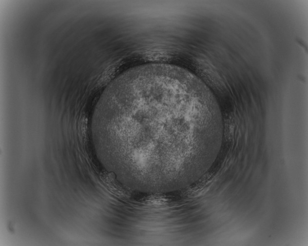 X0000097810263200803281105