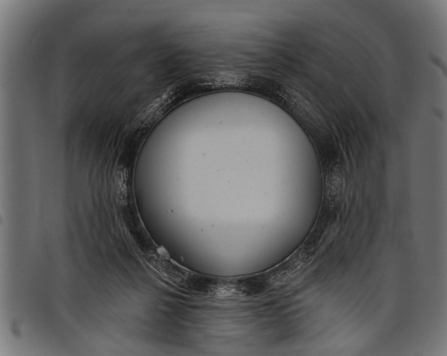 X0000097810264200803281105