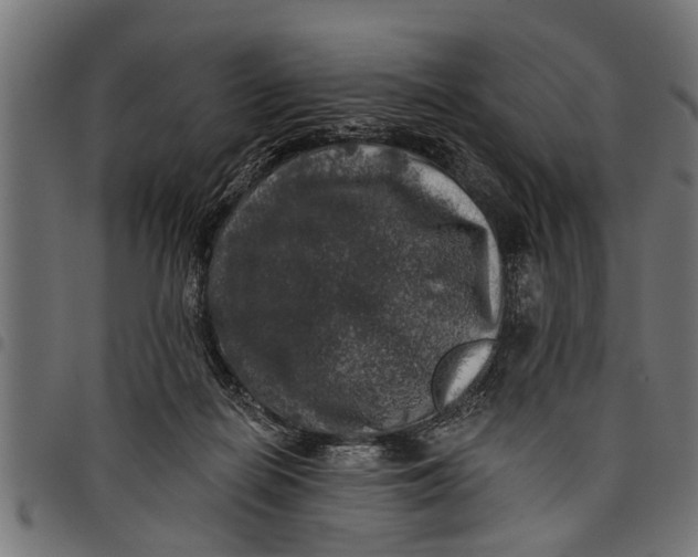 X0000097810266200803281105