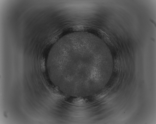 X0000097810267200803281105