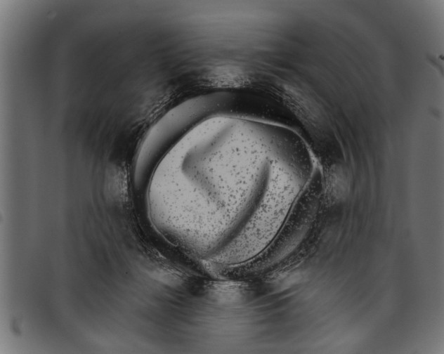 X0000097810268200803281105