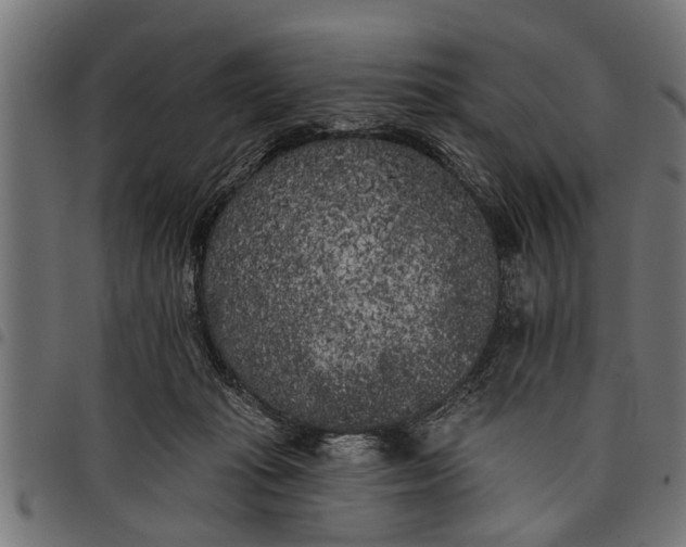 X0000097810269200803281105