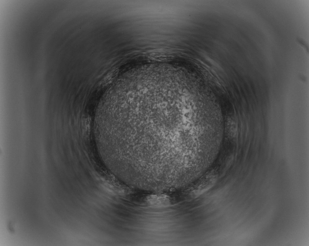 X0000097810271200803281105