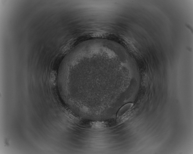 X0000097810273200803281105