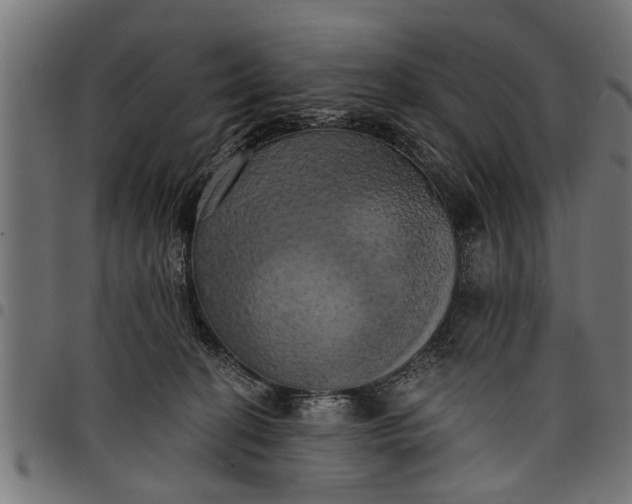 X0000097810274200803281105