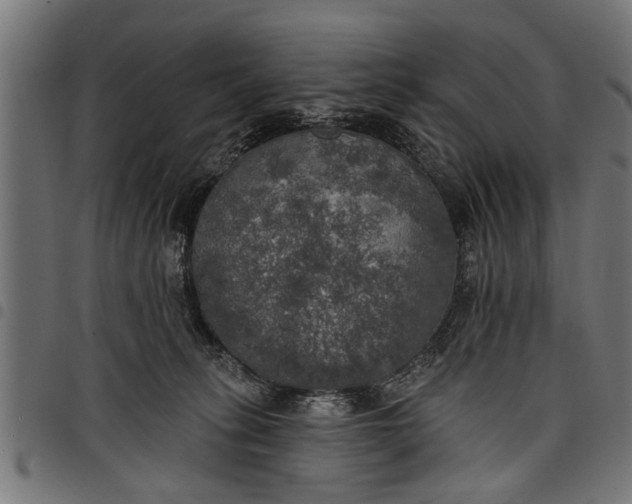 X0000097810275200803281105