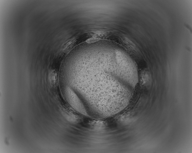 X0000097810276200803281105