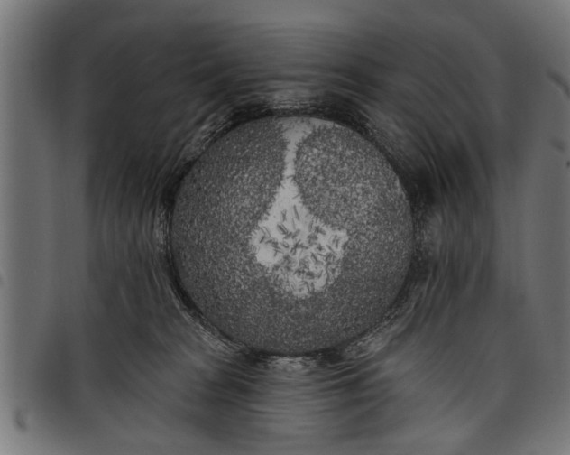 X0000097810277200803281105