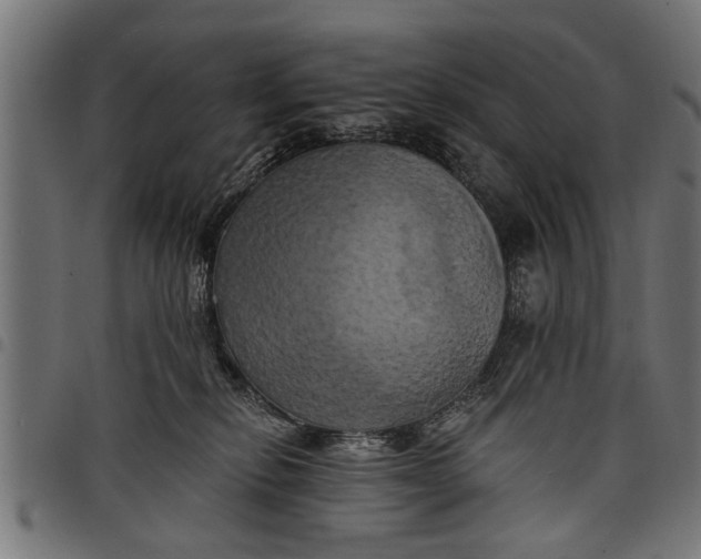 X0000097810278200803281105