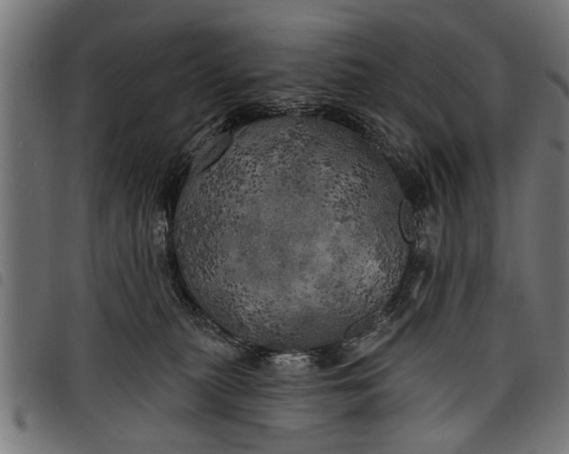 X0000097810279200803281105