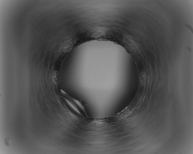 X0000097810280200803281105