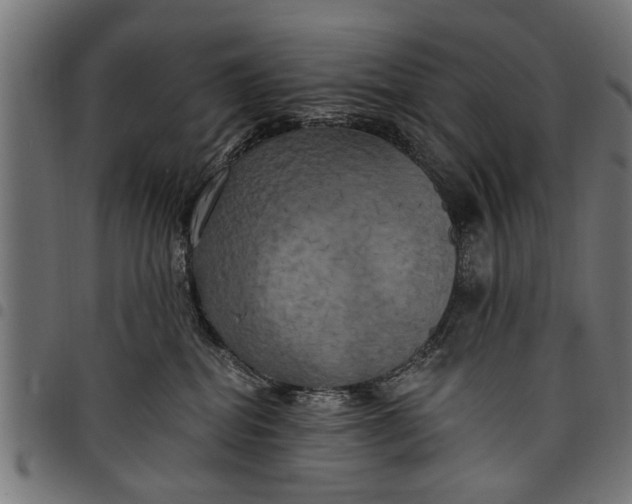 X0000097810282200803281105