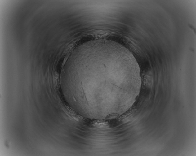 X0000097810283200803281105