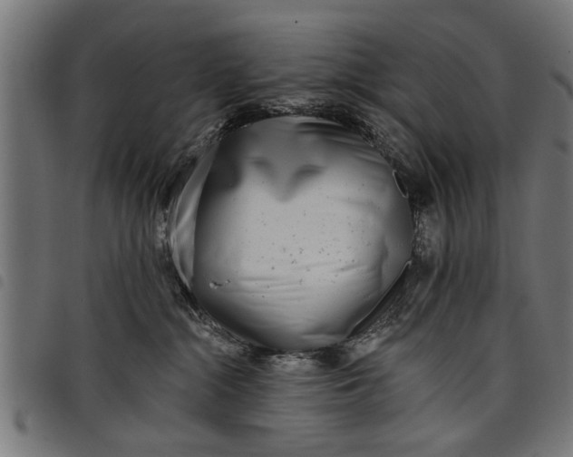 X0000097810284200803281105