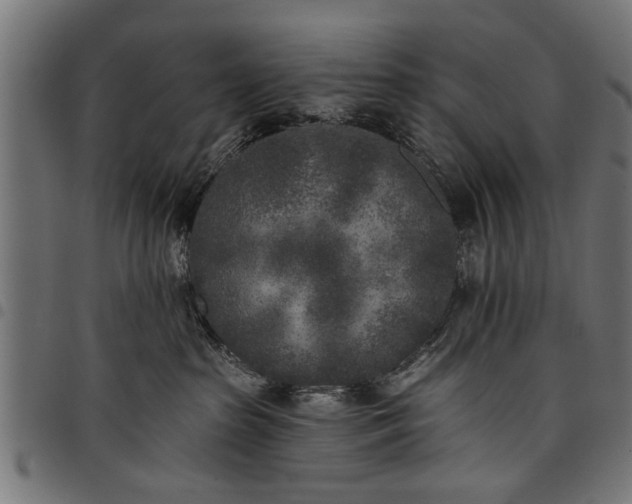 X0000097810285200803281105