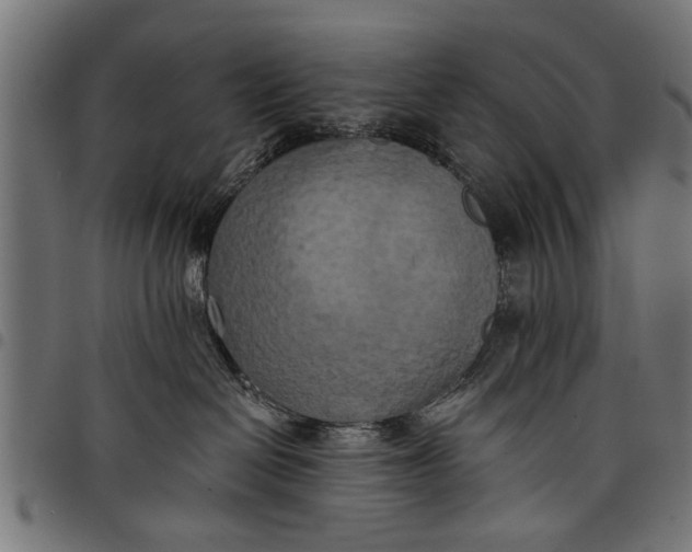 X0000097810286200803281105