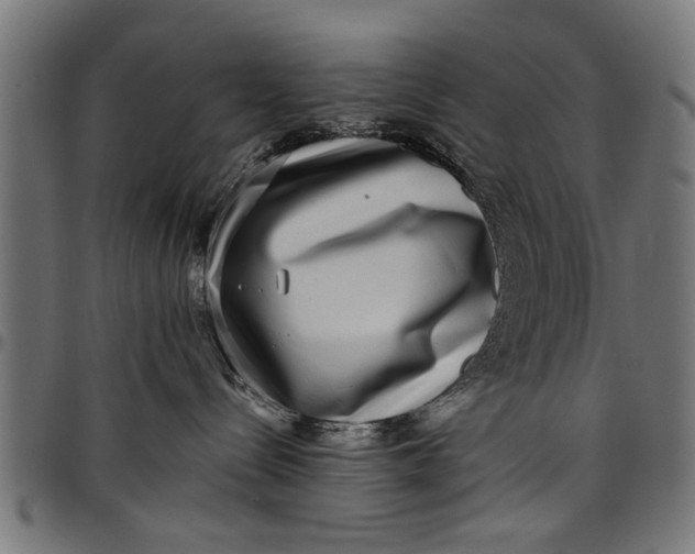 X0000097810288200803281105