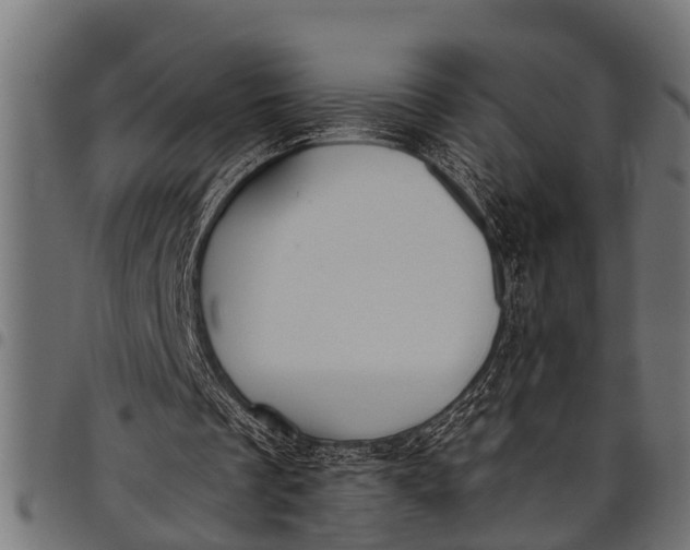 X0000097810289200803281105